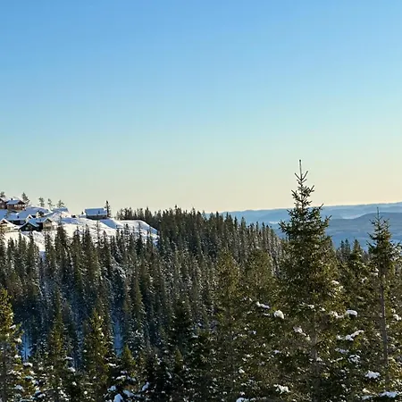 Hotel With An Amazing View At Lifjell